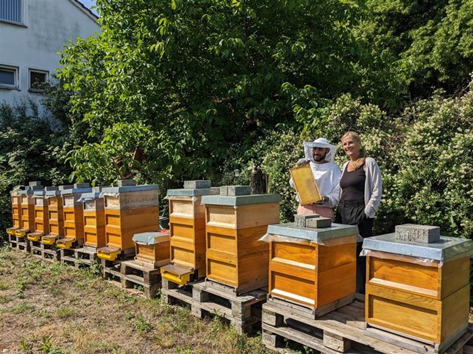 Mehrere Bienenstöcke auf dem Gelände des Deutzer Hafens Köln, daneben zwei Personen mit einer Bienenwabe.